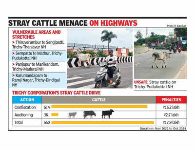 Weeds on highway medians attract cattle, pose threat to motorists