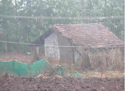Hailstorm, rain lash several parts of Shivamogga district