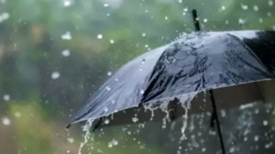 Heavy rain to lash Karnataka: 14 districts under IMD alert, wet spell to last 4 days