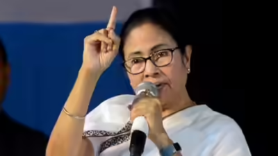 'They want only BJP-backed goons to vote': CM Mamata Banerjee hits out at Election Commission over new voter list rules; calls move alarming for democracy