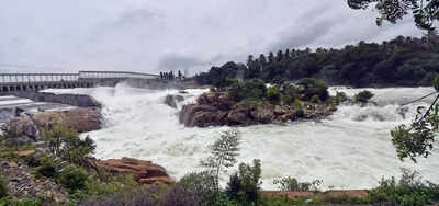 Karnataka must win over Tamil Nadu to unlock Mekedatu dam project, say experts