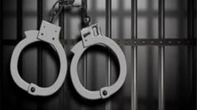 Cops arrest 3 on charges of theft in Hyderabad