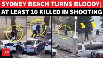 Bondi Beach shooting: Agencies identify gunmen as father-son duo - what we know so far