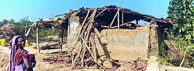West Singhbhum villages seek higher compensation in deaths caused by elephants