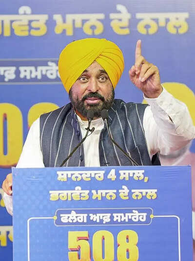 If I was responsible, then hand over Chd to Pb govt: Mann to Centre