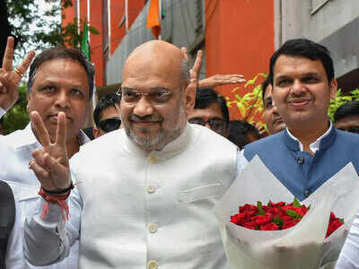 Gear up to go it alone, Amit Shah tells cadre