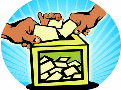 Burger seller to contest Lok Sabha polls, plans to raise public issues