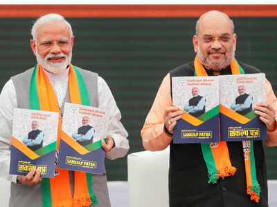 Lok Sabha elections: BJP vows tax cuts, kisan sops, hard line on culture, nationalism, security