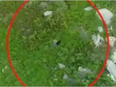Pak Infiltrators pick new moon, 2-5am bands to sneak in: Report