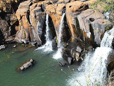 Mhadei: Goa moves SC, seeks joint inspection of Karnataka&rsquo;s Kalasa works