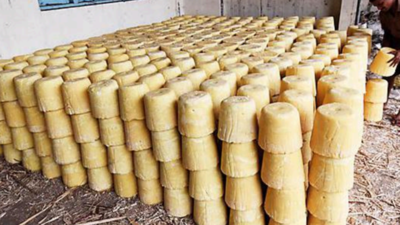 First batch of jaggery sold for Rs 5,100 per quintal in Kolhapur&rsquo;s Shahu market