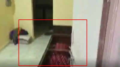Mumbai nurse killed by live-in partner, body hidden in bed box