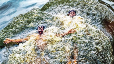 Mumbai: Maximum temperature at 36 degree Celsius, humidity soars; dry weather forecast