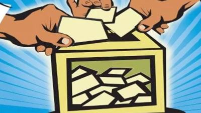 Karnataka elections: BJP nominates 25 relatives of its veteran leaders